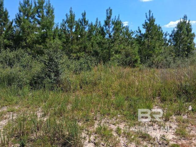 00000 Linholm Road, Robertsdale, AL 36567