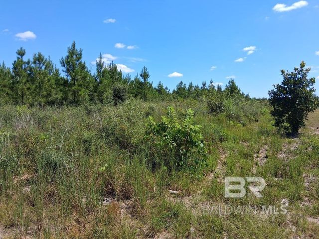 00000 Linholm Road, Robertsdale, AL 36567