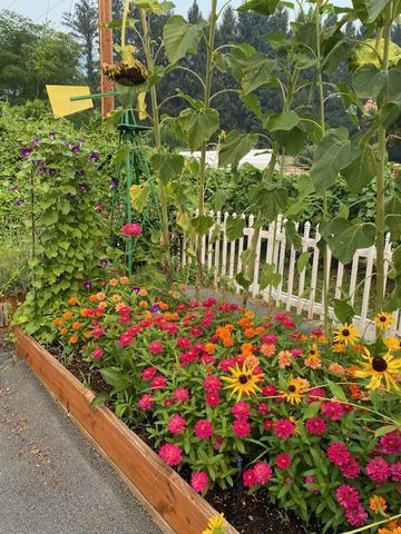 753 W Evans Creek Road, Rogue River, OR 97537