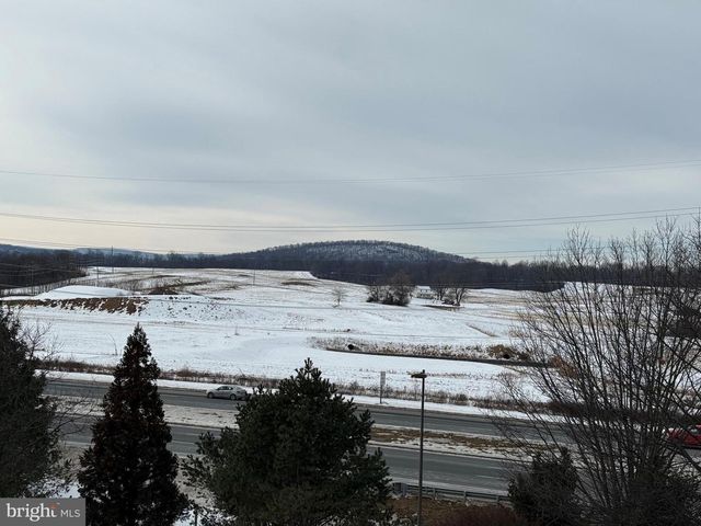 15.63 ACRES, 52-2-B, Winchester, VA 22603