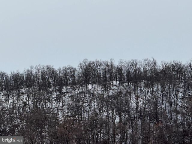 15.63 ACRES, 52-2-B, Winchester, VA 22603