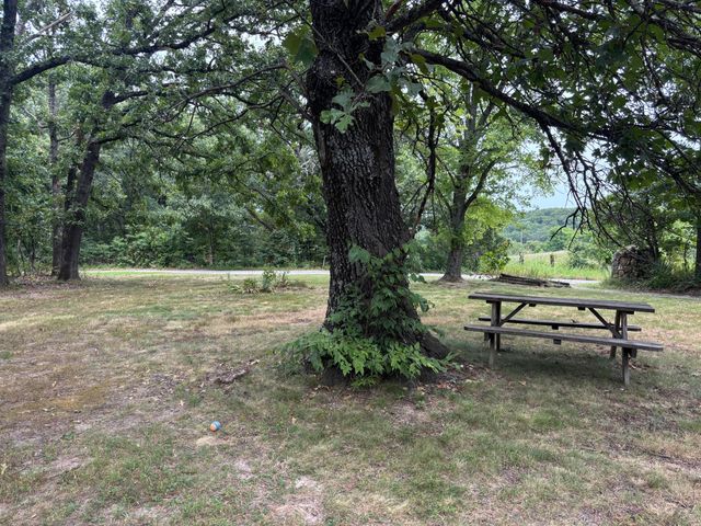 2364 Two Rivers Road, Highlandville, MO 65669