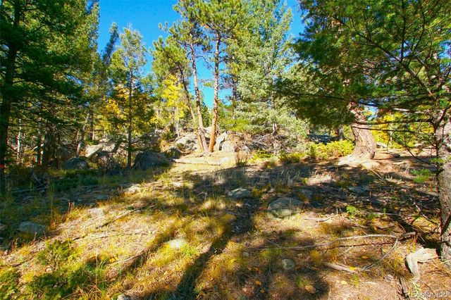 30589 Hood Road, Conifer, CO 80433