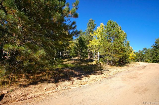 30589 Hood Road, Conifer, CO 80433