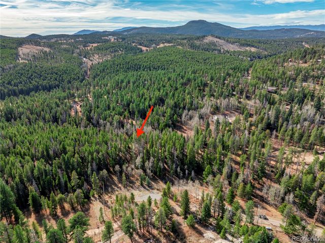 Lot 14X Wallace Avenue, Conifer, CO 80433