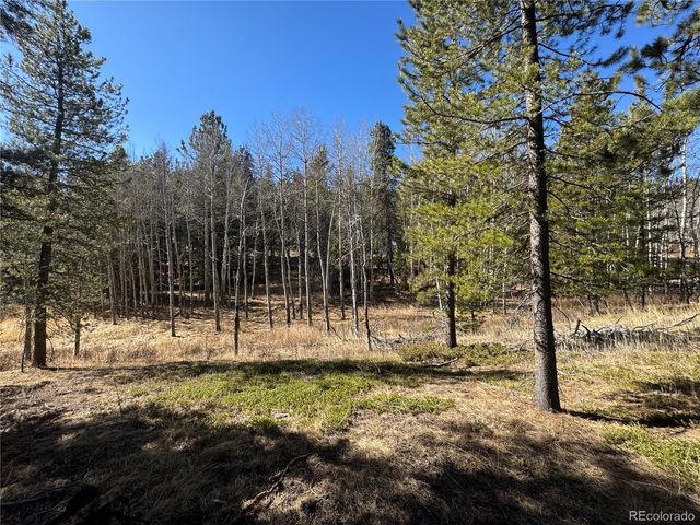 Lot 14X Wallace Avenue, Conifer, CO 80433