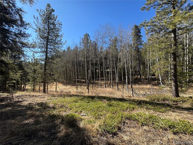 Lot 14X Wallace Avenue, Conifer, CO 80433