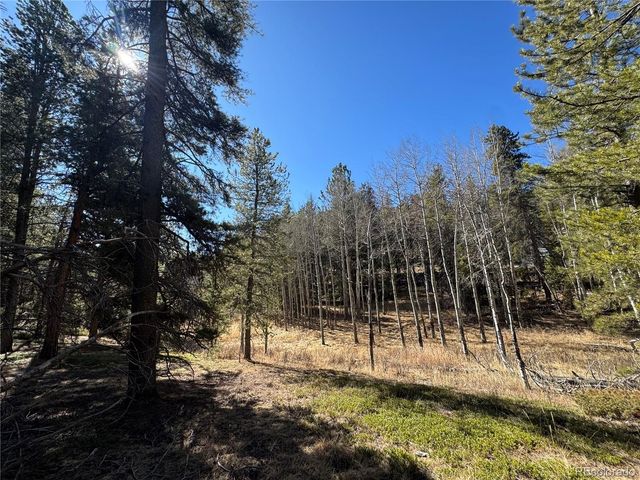 Lot 14X Wallace Avenue, Conifer, CO 80433