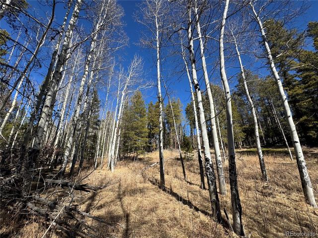 Lot 14X Wallace Avenue, Conifer, CO 80433