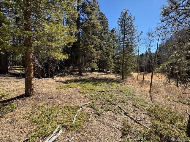 Lot 14X Wallace Avenue, Conifer, CO 80433