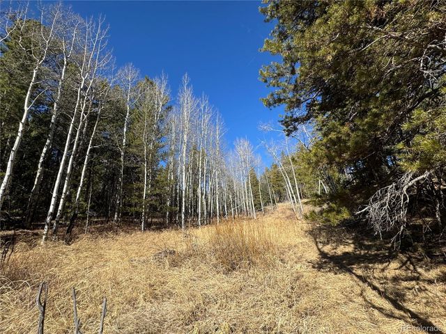 Lot 14X Wallace Avenue, Conifer, CO 80433