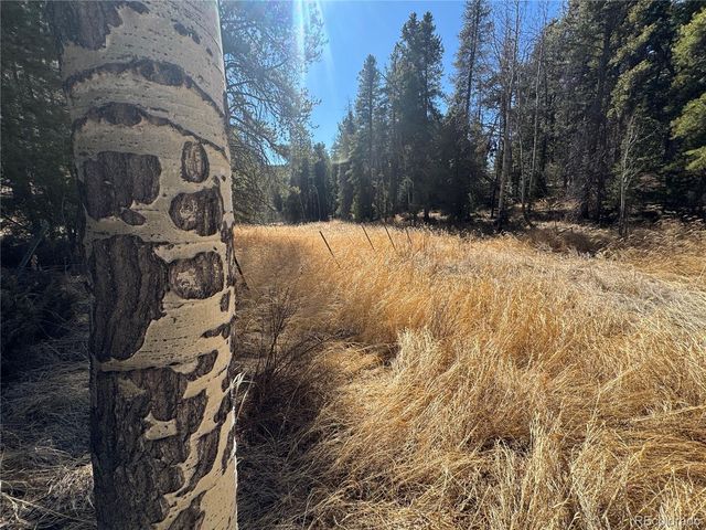 Lot 14X Wallace Avenue, Conifer, CO 80433