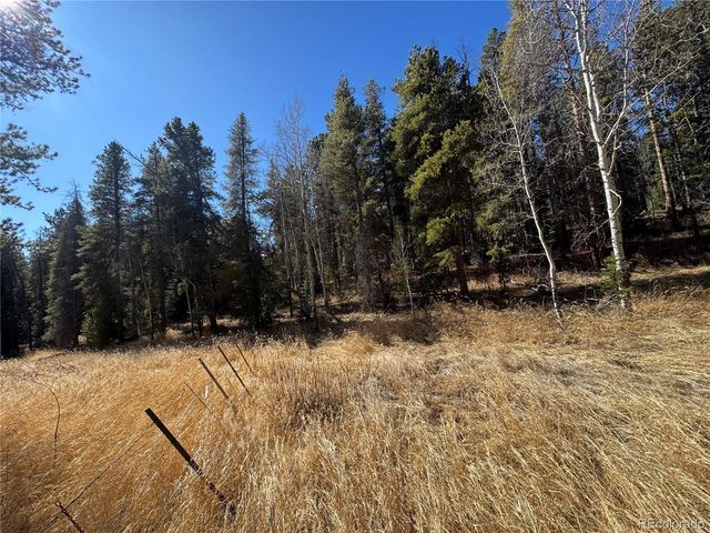 Lot 14X Wallace Avenue, Conifer, CO 80433