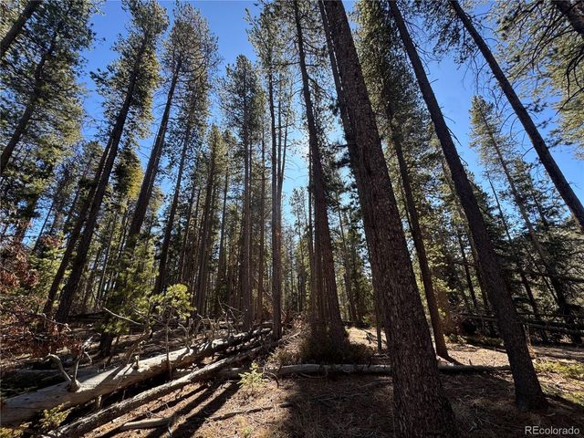 Lot 14X Wallace Avenue, Conifer, CO 80433