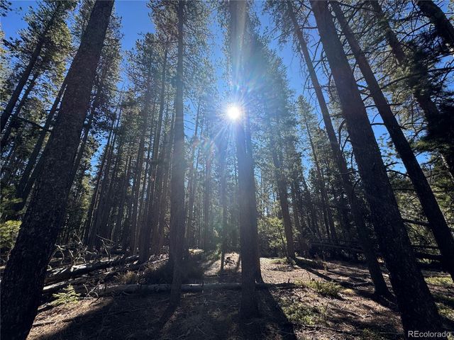 Lot 14X Wallace Avenue, Conifer, CO 80433