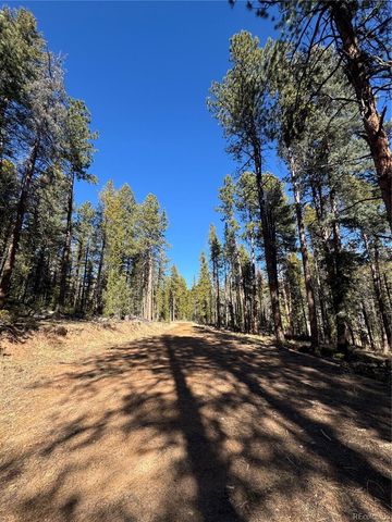 Lot 14X Wallace Avenue, Conifer, CO 80433