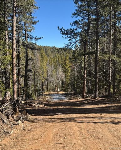 Lot 14X Wallace Avenue, Conifer, CO 80433