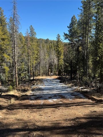 Lot 14X Wallace Avenue, Conifer, CO 80433