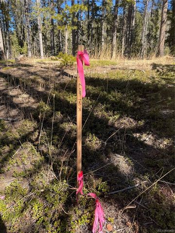 Lot 14X Wallace Avenue, Conifer, CO 80433