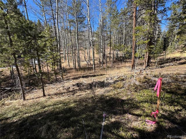 Lot 14X Wallace Avenue, Conifer, CO 80433