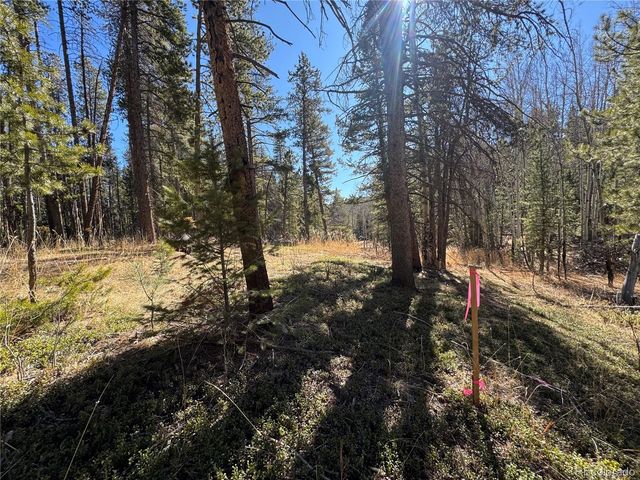 Lot 14X Wallace Avenue, Conifer, CO 80433