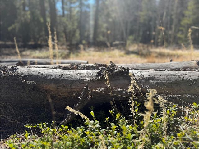 Lot 14X Wallace Avenue, Conifer, CO 80433