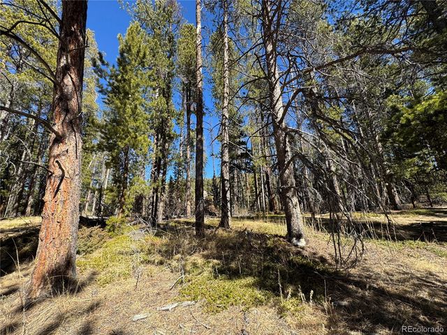 Lot 14X Wallace Avenue, Conifer, CO 80433