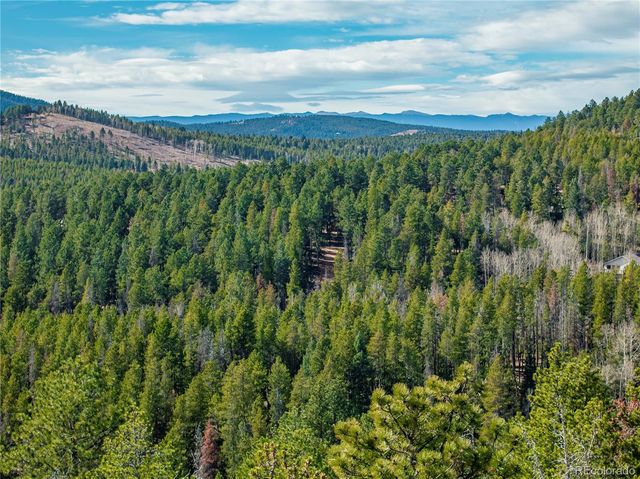 Lot 14X Wallace Avenue, Conifer, CO 80433