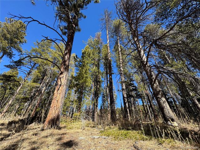 Lot 14X Wallace Avenue, Conifer, CO 80433