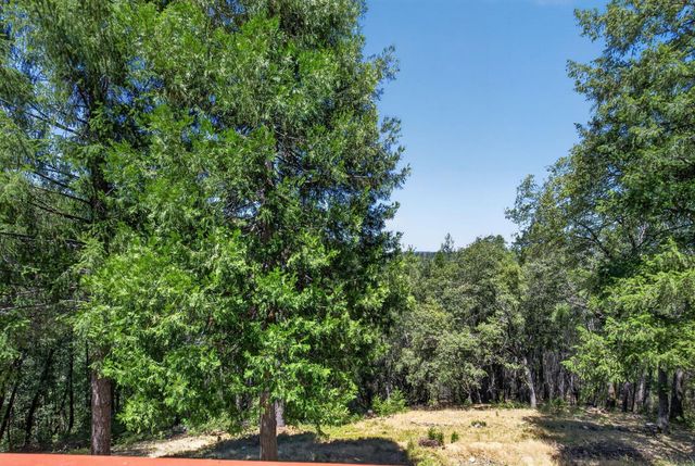 655 Secret Town Ln, Colfax, CA 95713