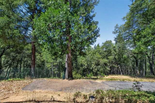 655 Secret Town Ln, Colfax, CA 95713