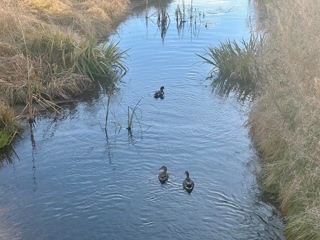 3227 Duranes Road NW, Albuquerque, NM 87104