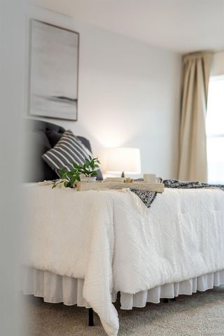 9185 Meccano Point, Colorado Springs, CO 80924