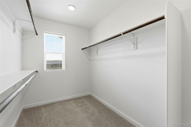 9185 Meccano Point, Colorado Springs, CO 80924