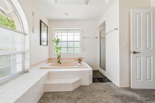 1776 WOOD THRUSH WAY, Palm Harbor, FL 34683