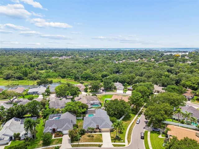 1776 WOOD THRUSH WAY, Palm Harbor, FL 34683