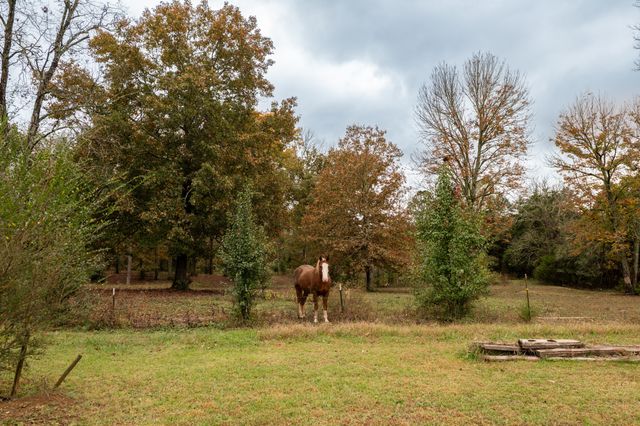 253 Halls Mill Rd, Chickamauga, GA 30707
