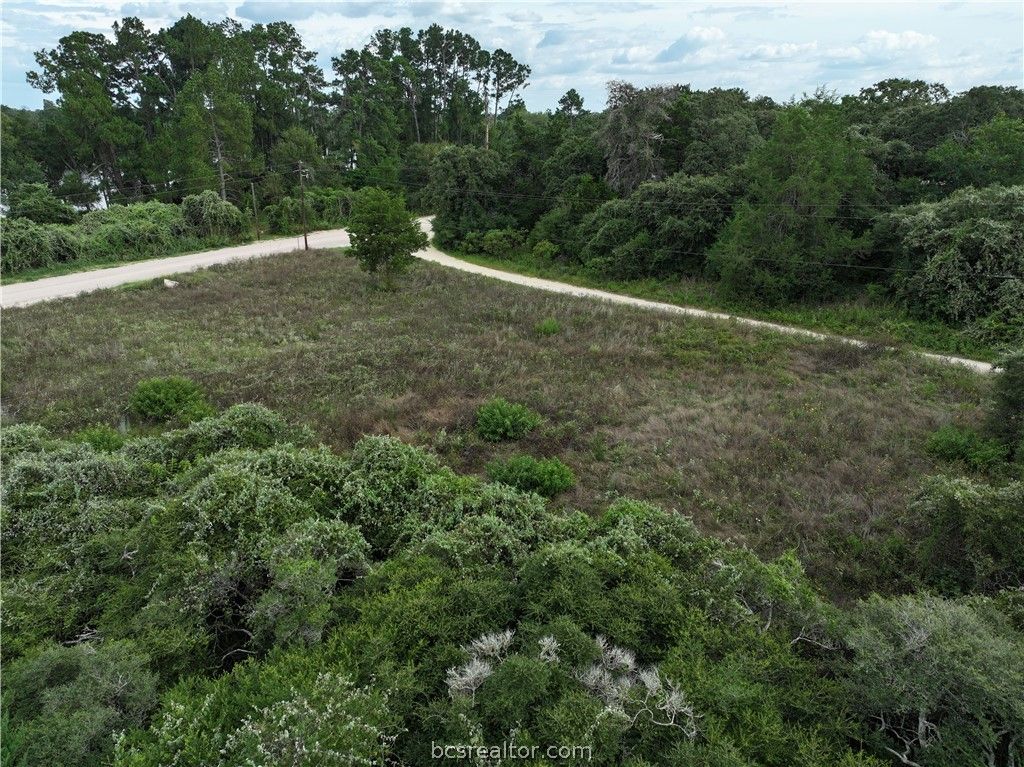 Lots 1&3 Fir Drive, Caldwell, TX 77836 — photo 3