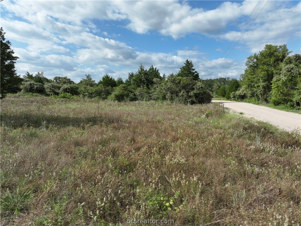 Lots 1&3 Fir Drive, Caldwell, TX 77836 — photo 5