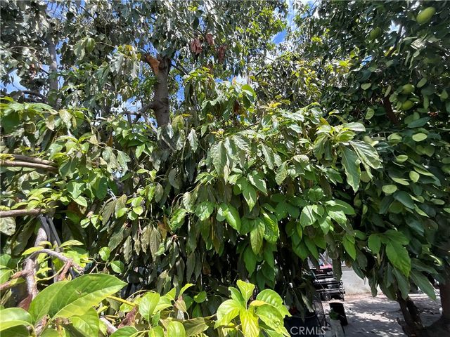 1120 Valencia, Hacienda Heights, CA 91745