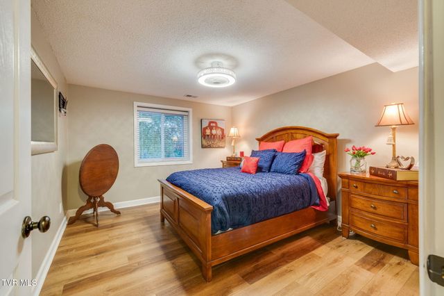 497 Canterbury Drive, Blountville, TN 37617