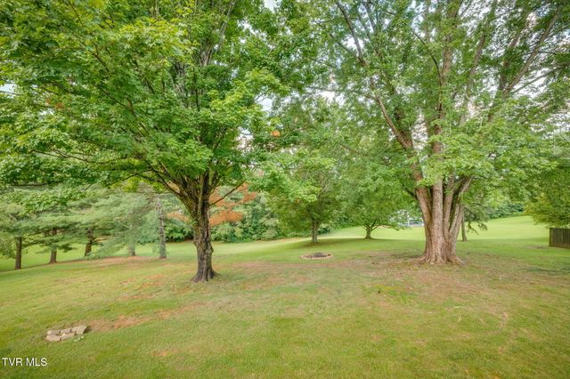 497 Canterbury Drive, Blountville, TN 37617