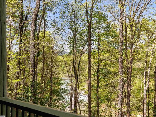 4004 Lake Adger Parkway, Mill Spring, NC 28756