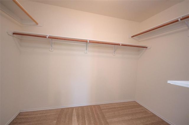 310 Falling Pine Drive, Conroe, TX 77304