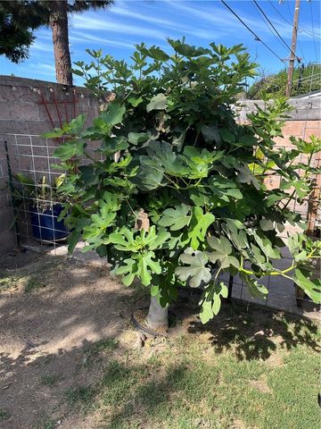 62 E Calle La Sombra, Camarillo, CA 93010