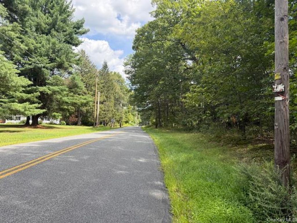 LOT 1 Shoddy Hollow Road, Otisville, NY 10963