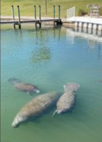 779 N GREEN CIRCLE, Venice, FL 34285