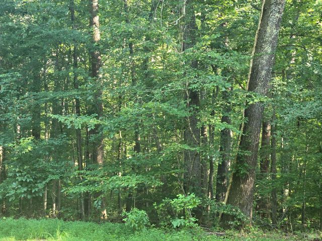 1545 Cumberland Road, Farmville, VA 23901