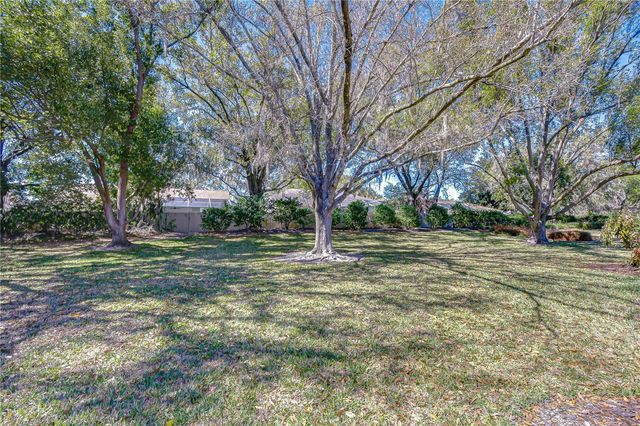 3813 TURKEY OAK DRIVE, Valrico, FL 33596