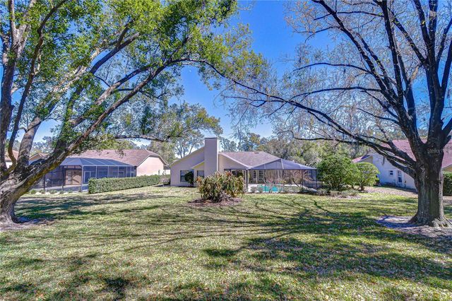 3813 TURKEY OAK DRIVE, Valrico, FL 33596